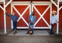 Built Tough: What Makes a Quality Barn Shed Stand Out Barn Shed